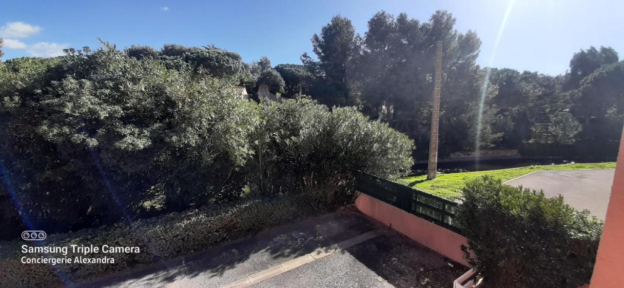 Apartamento Porto Cristo - Au Port Sans Vis A Vis -Wifi - Parking Saint-Cyprien  Exterior foto
